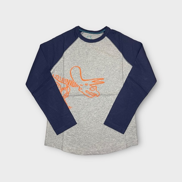Mini Boden Other - Mini Boden Xenoceratops Dinosaur Graphic Raglan Shirt